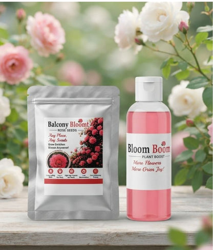 🌹 Balcony Bloom Rose Seeds